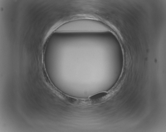 X0000081631365200701151109