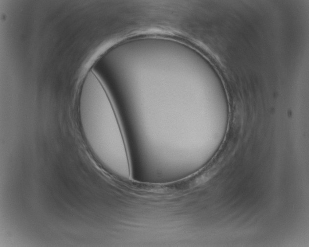 X0000081631367200701151109
