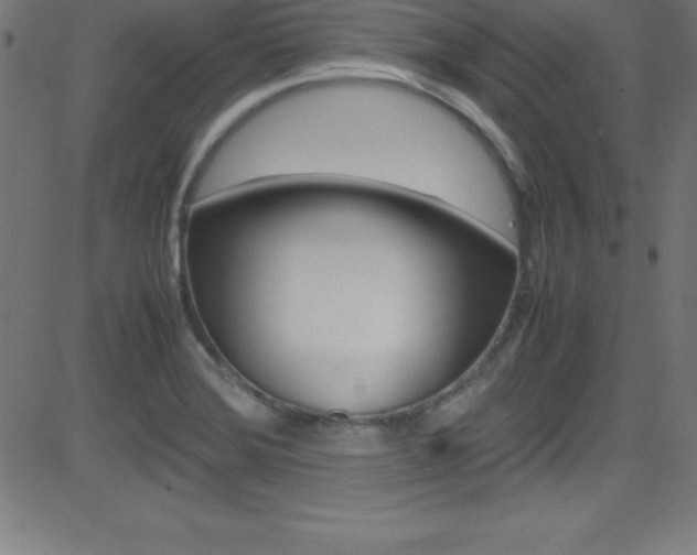 X0000081631372200701151109