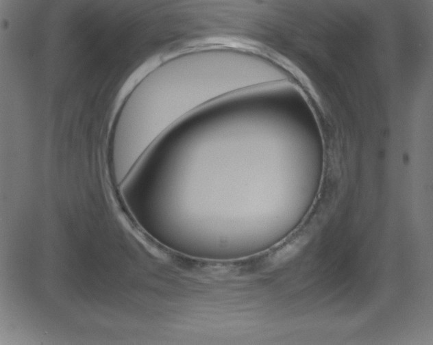 X0000081631373200701151109
