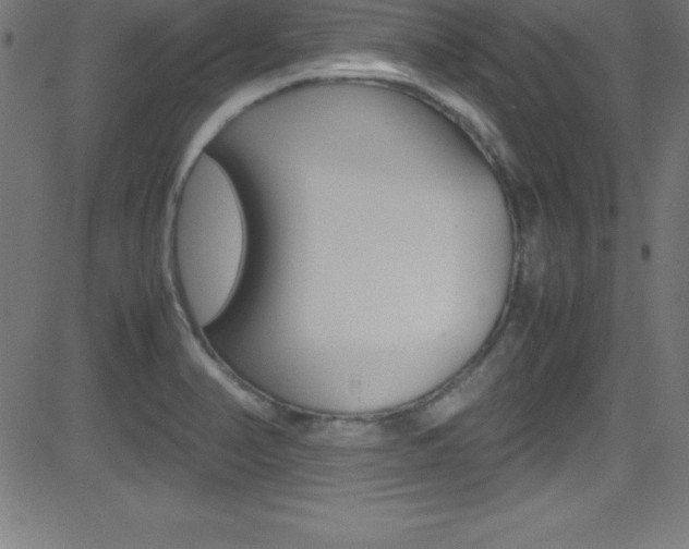 X0000081631374200701151109