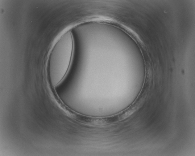 X0000081631375200701151109