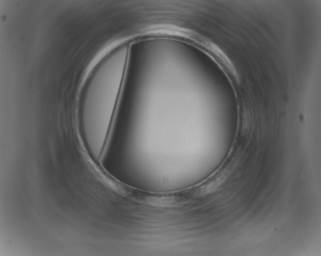 X0000081631376200701151109