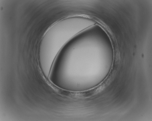 X0000081631377200701151109