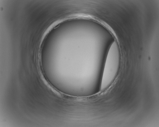 X0000081631381200701151109