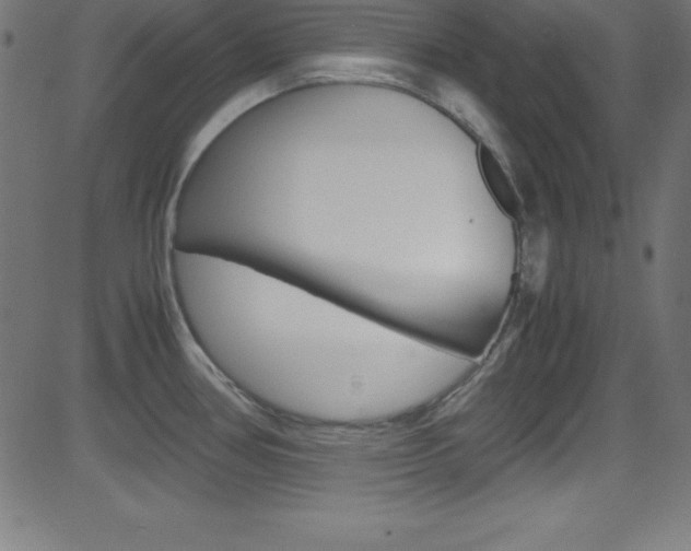 X0000081631386200701151109