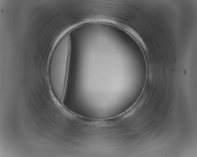 X0000081631388200701151109