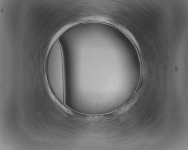 X0000081631389200701151109