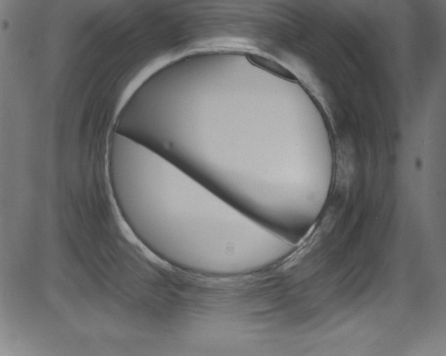X0000081631390200701151109