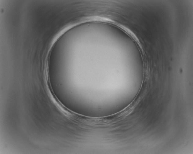 X0000081631391200701151109
