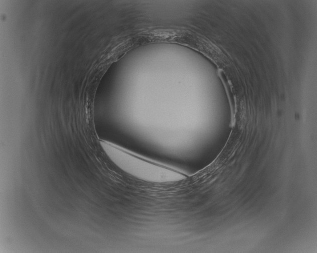 X0000081631394200701151108