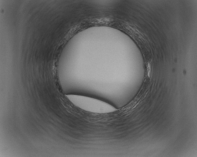 X0000081631395200701151108