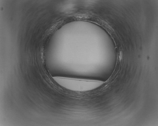 X0000081631396200701151108