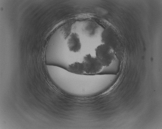 X0000081631401200701151108