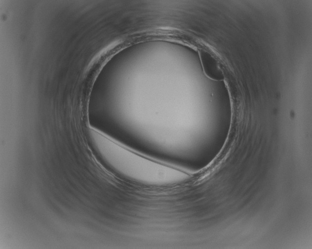 X0000081631402200701151108