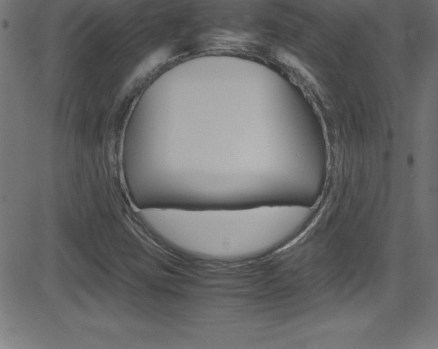 X0000081631403200701151108