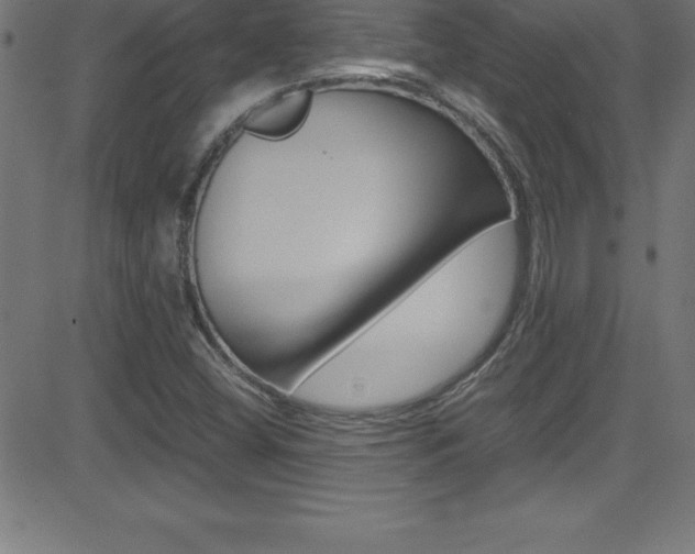 X0000081631404200701151108