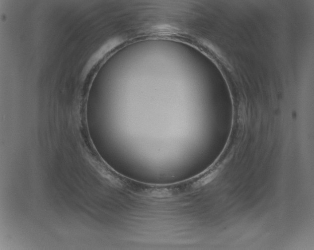X0000081631410200701151108