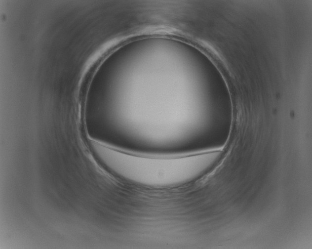 X0000081631414200701151108