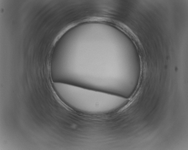 X0000081631417200701151108