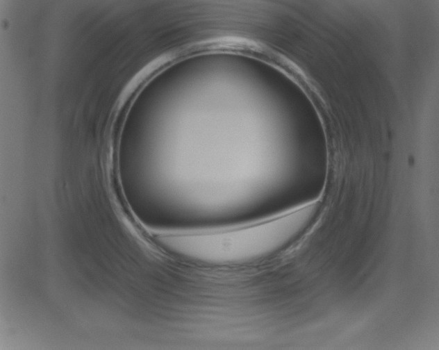 X0000081631418200701151108