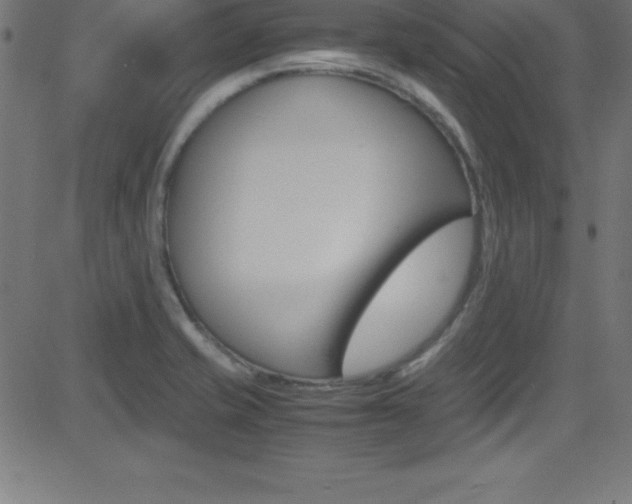 X0000081631421200701151108