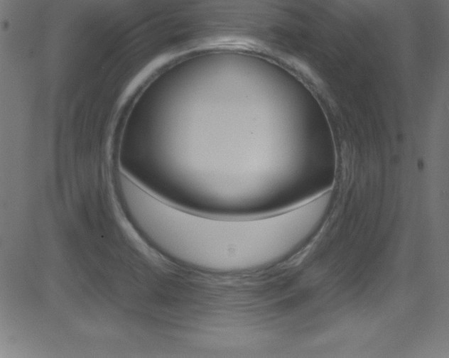 X0000081631422200701151108