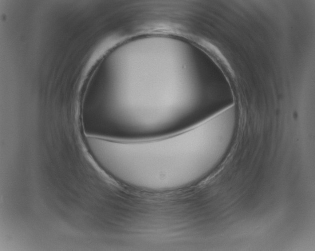 X0000081631424200701151109