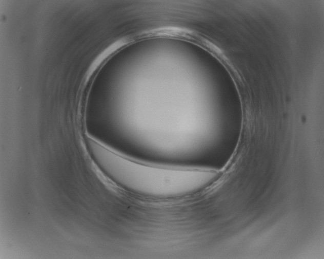 X0000081631426200701151109