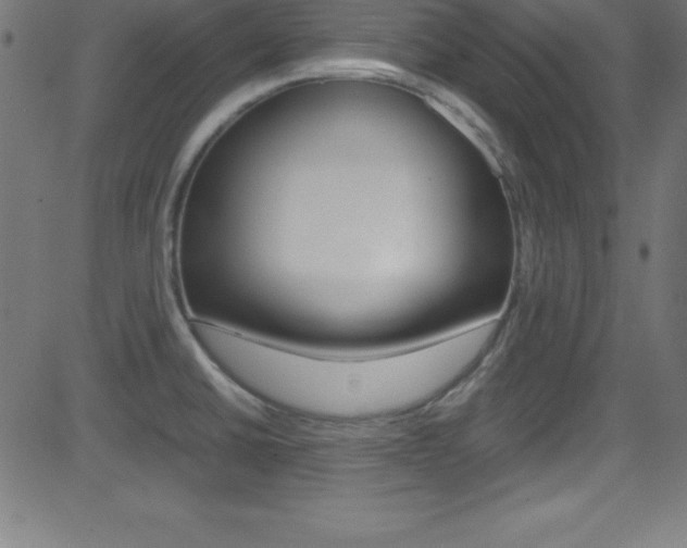 X0000081631430200701151109