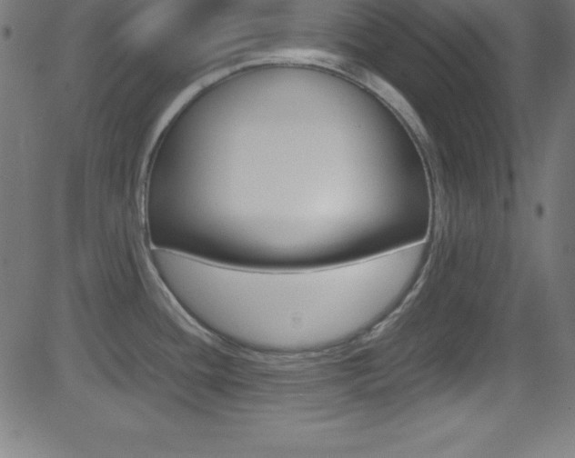 X0000081631436200701151109