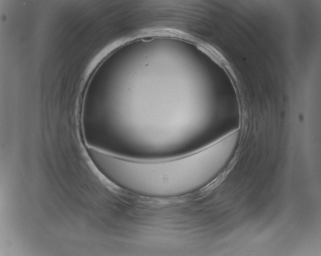 X0000081631438200701151109