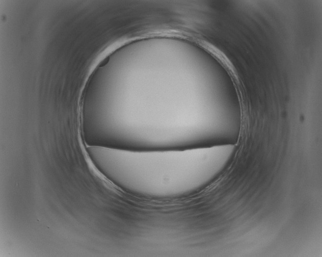 X0000081631439200701151109