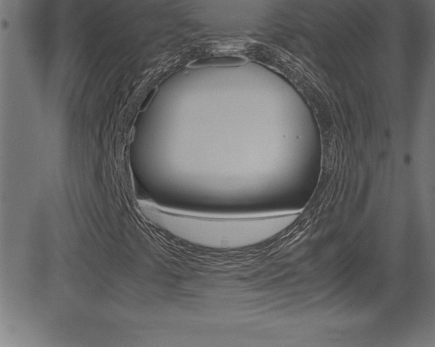 X0000081631441200701151108