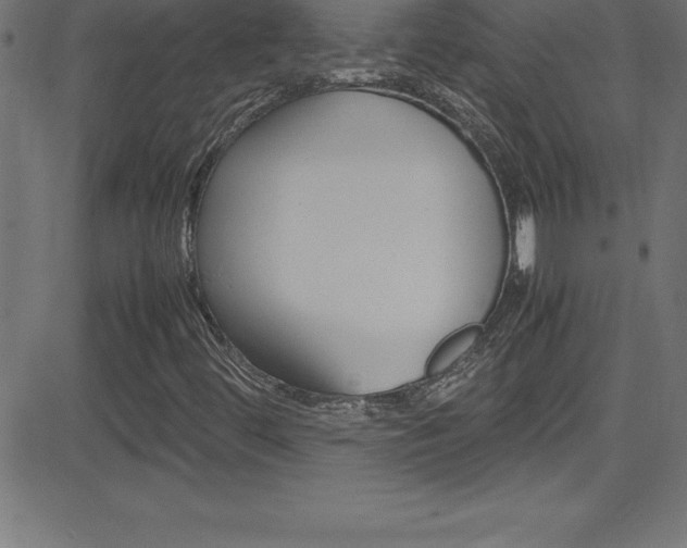 X0000081631444200701151108