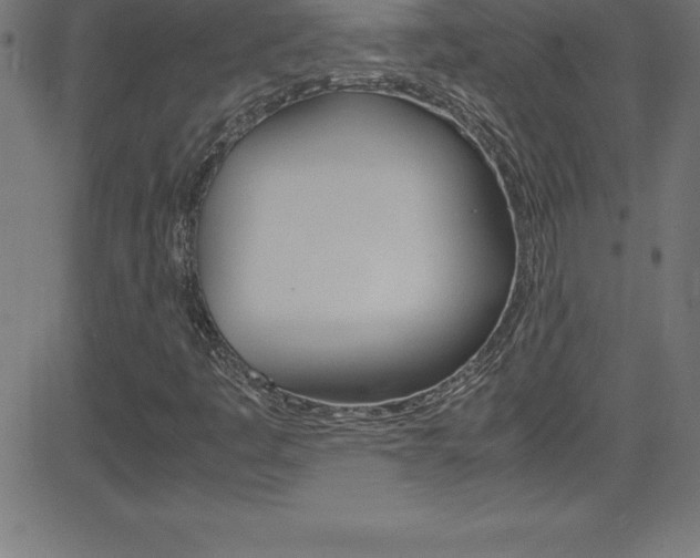 X0000081631445200701151108