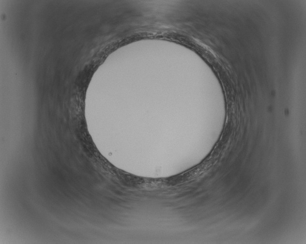X0000081631447200701151108