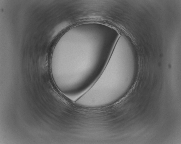 X0000081631450200701151108