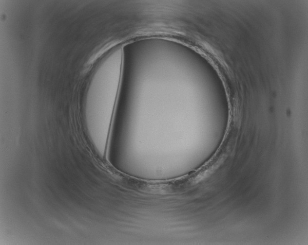 X0000081631453200701151108