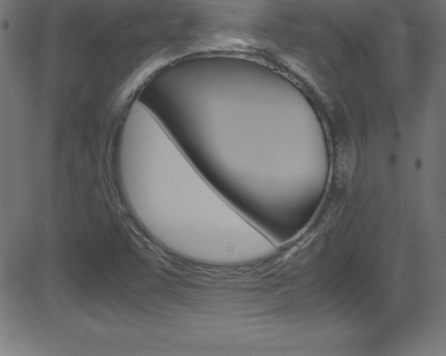 X0000081631455200701151108