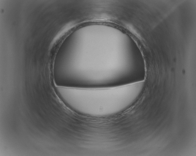 X0000081631456200701151108