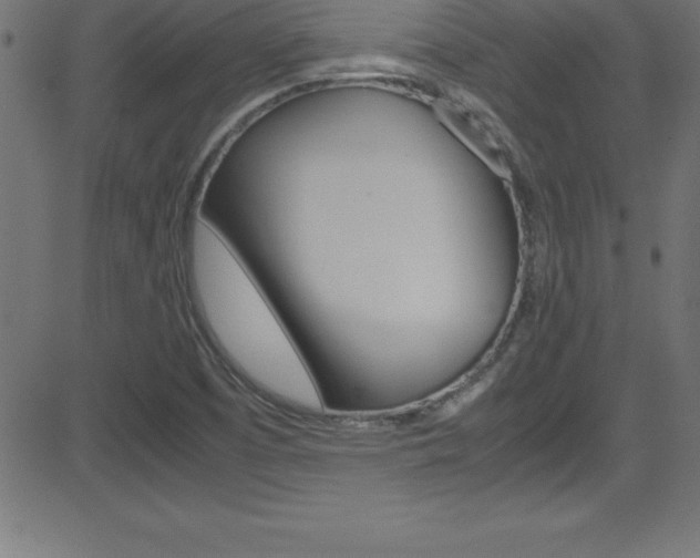 X0000081631457200701151108