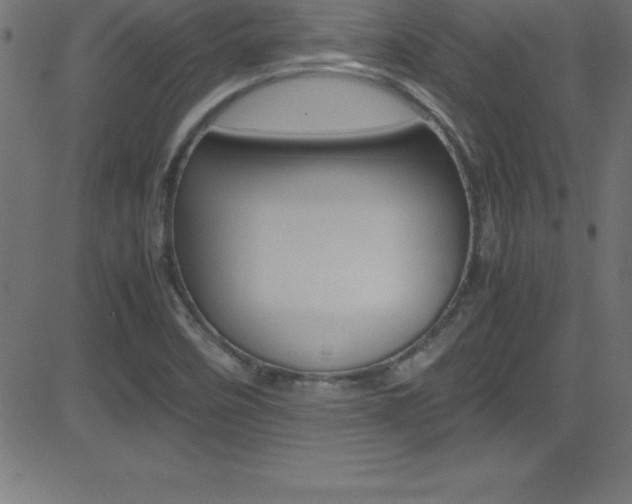X0000081631458200701151108