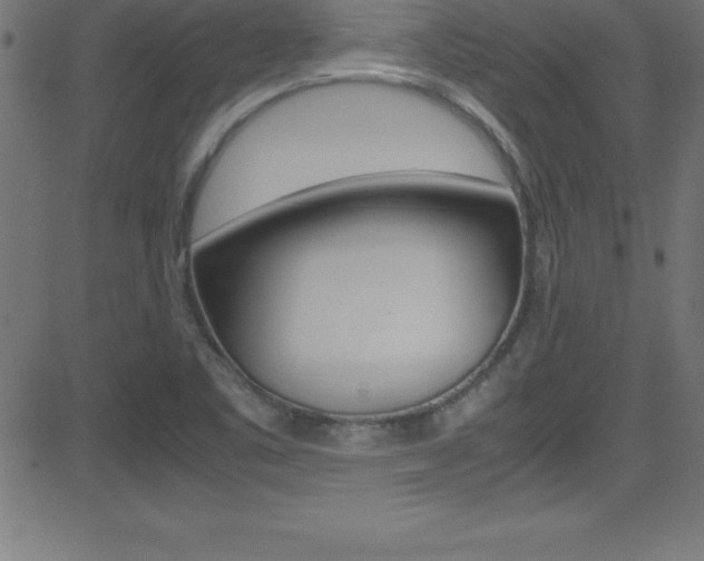 X0000081631461200701151108