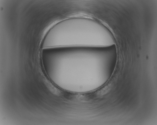 X0000081631463200701151108