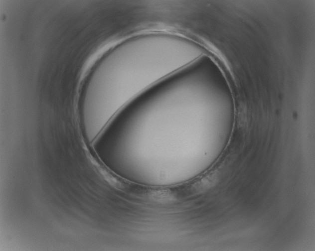X0000081631464200701151108