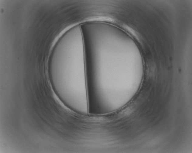 X0000081631468200701151108