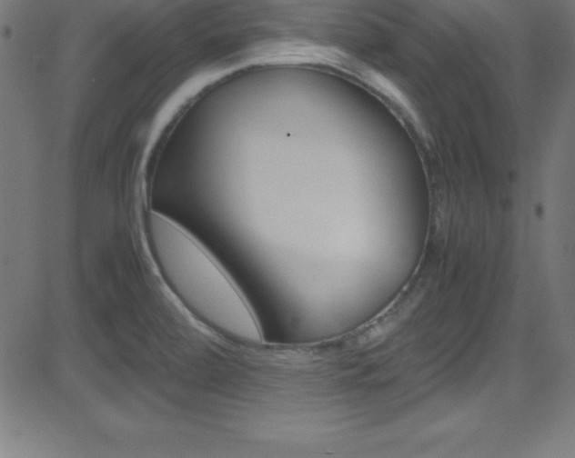 X0000081631472200701151107