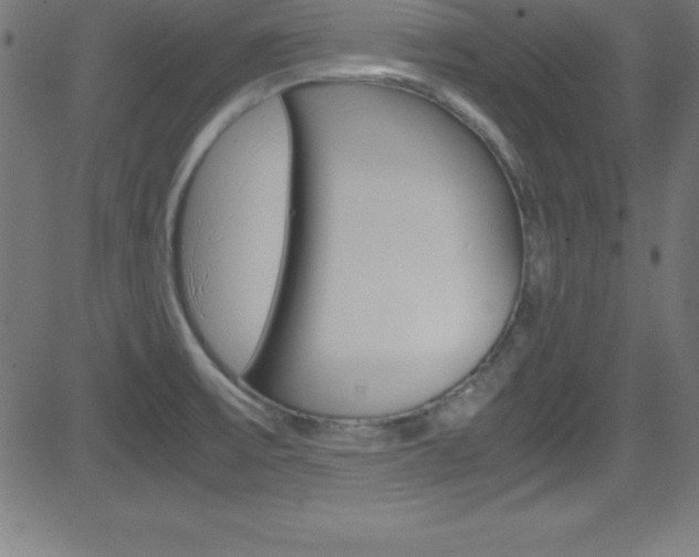 X0000081631475200701151107