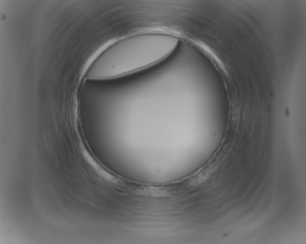X0000081631476200701151107
